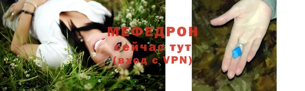 круглые Гусев
