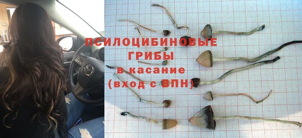 спиды Алексин