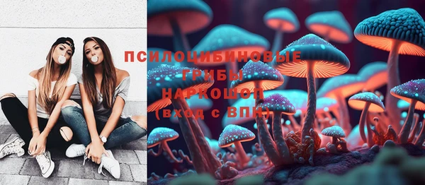 ешки Алексеевка