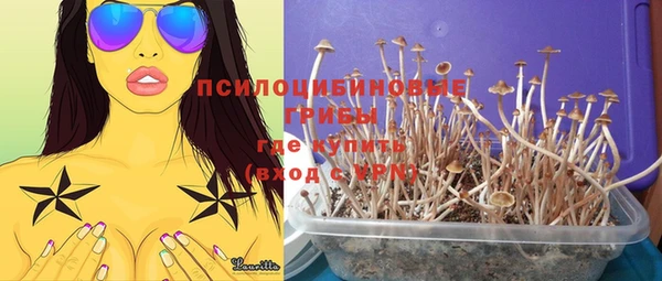 спиды Алексин