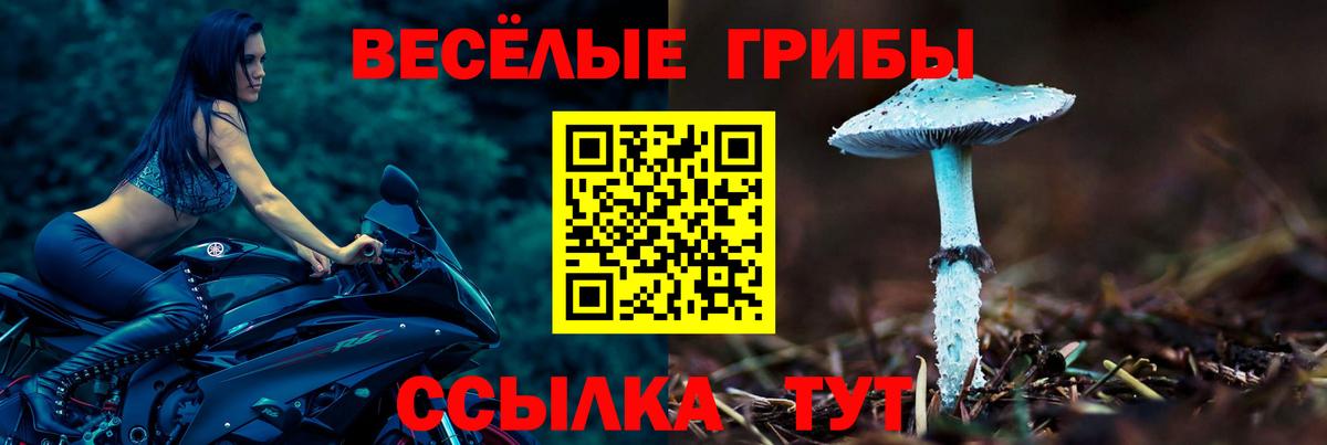 Галлюциногенные грибы прущие грибы Арсеньев